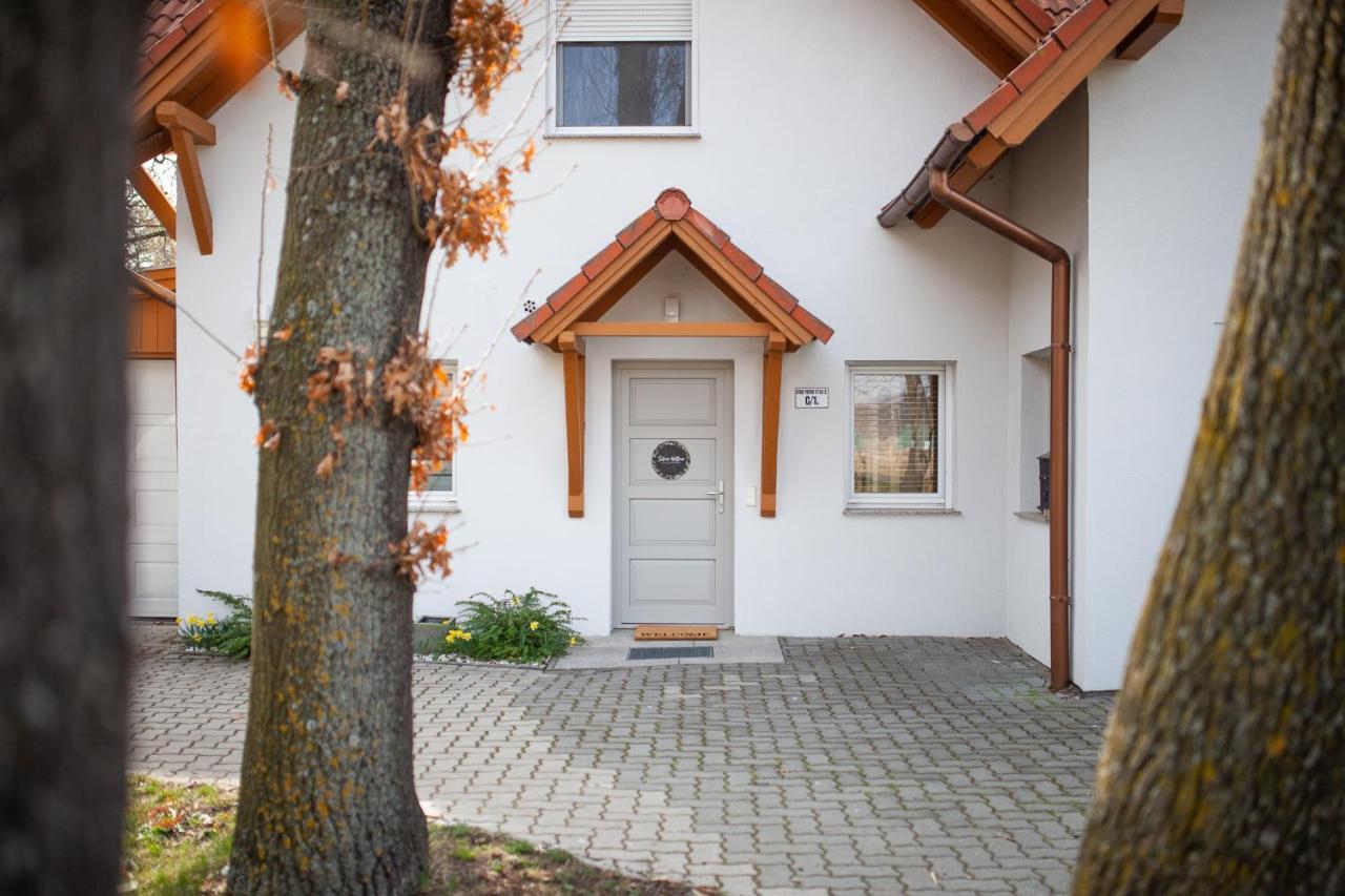 Silver Willow Luxury Apartment Sopron Extérieur photo